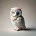 Owls