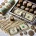 Coins & Paper Money