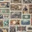 Paper Money: World