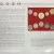 2020 D Uncirculated Mint Set Postal Commemorative Society Coin & Stamps