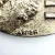 Apollo 11 NASA Space Moon High Relief Medal 2" Silvered Bronze Coin Medallion
