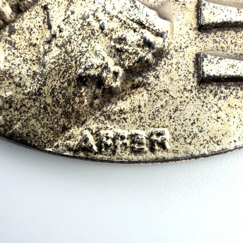 Apollo 11 NASA Space Moon High Relief Medal 2" Silvered Bronze Coin Medallion