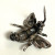 Alice Caviness Brooch Sterling Silver Enamel Marcasite Bumble Bee Germany