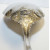 Antique R, Sterling Silver Serving Whiting Baroque Spoon