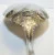 Antique R, Sterling Silver Serving Whiting Baroque Spoon