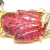 Estate 18K Yellow Gold Multi Color Tourmaline & Diamond Necklace & Earrings Set Estate 18K Yellow Gold Multi Color Tourmaline & Diamond Necklace & Earrings Set
