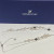 Swarovski Crystal long Necklace 42in Long Swarovski Crystal long Necklace 42in Long