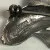 Antique Sterling Silver Designed Gems Faced Blue Multicolor Fish / 1 Ruby Eye  