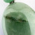 Large Oval Genuine Handmade Light Green Jade Silver Dangle Earrings SS