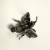 Alice Caviness Brooch Sterling Silver Enamel Marcasite Bumble Bee Germany