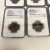 NGC UNC Details–8 Coins: Artificial Toning (7×25C, 1×10C), Altered Color (1×1C) NGC UNC Details–8 Coins: Artificial Toning (7×25C, 1×10C), Altered Color (1×1C)