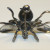 Antique 6 Legged Mosquito Designed w/Blue/GREEN Color Red Ruby Eye Brooch 925