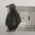 Antique Sterling Silver Marcasite Ferza Engraved Penguin RUBY Red EYE Brooch