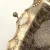 Antique Sterling Silver Mesh Purse - Ruby A Rossback 1909 Engraving