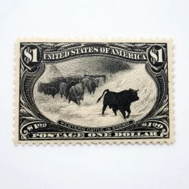 US Scott #292 1898 $1 Western Cattle in Storm Mint Unused High Grade Rare Stamp