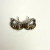 18K Judith Ripka Designed With Sterling Silver 925 & Gemstone Earrings 18K Judith Ripka Designed With Sterling Silver 925 & Gemstone Earrings