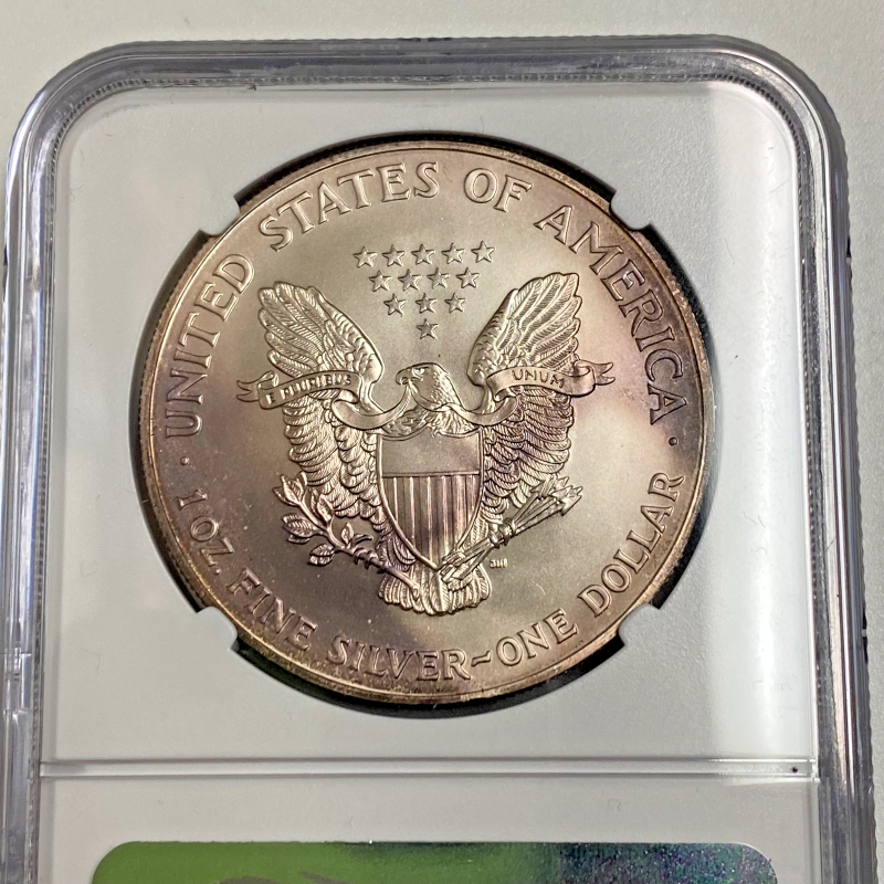 2002 $1 1-oz American Silver Eagle NGC UNC DETAILS