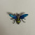 Antique 6 Legged Mosquito Designed w/Blue/GREEN Color Red Ruby Eye Brooch 925