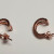 Shashi  Rose Gold Sterling Silver  Cz Designed  Curved Earrings