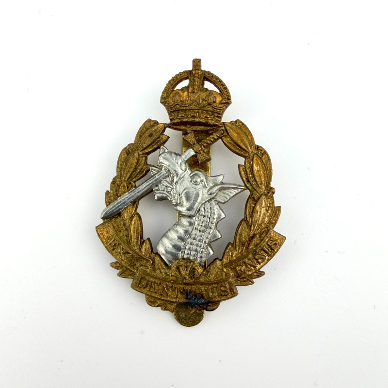 Genuine British Army RADC Dental Corps Issue Insignia Metal Dress Hat Badge