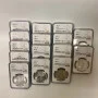 1889-1890 US Morgan Silver Dollar $1 set of 15 coins, NGC