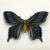 Vintage Alice Caviness Germany Enamel Sterling Silver Butterfly Brooch Vintage Alice Caviness Germany Enamel Sterling Silver Butterfly Brooch
