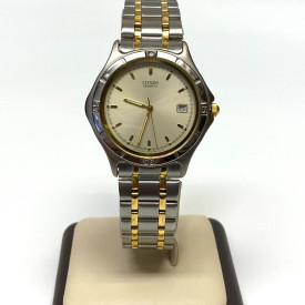 Classic Citizen Watch Co. Quartz Two-Tone Watch with Date Display