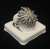 David Yurman Sterling Silver Large Starburst Ring With diamonds Size 7.75 David Yurman Sterling Silver Large Starburst Ring With diamonds Size 7.75