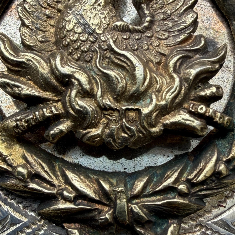 Fraternal Temperance Regalia Pair – Sons of the Phoenix , Samuel Plimsoll Lodge