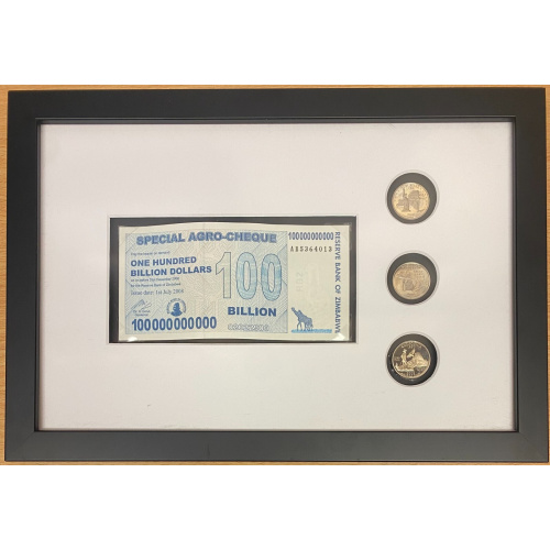 Framed Zimbabwe 100 Billion dollar Agro Cheque banknote and American Coins