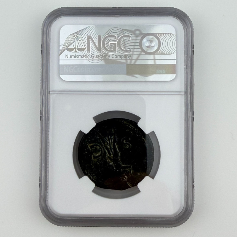 Roman Empire Claudius (AD 41-54) AE As – NGC Ch F