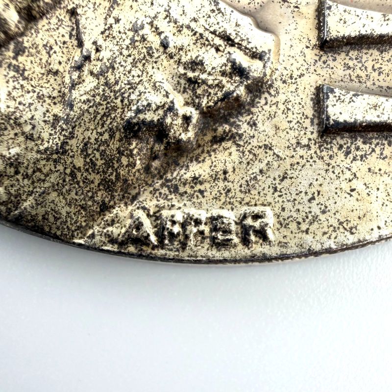 Apollo 11 NASA Space Moon High Relief Medal 2" Silvered Bronze Coin Medallion