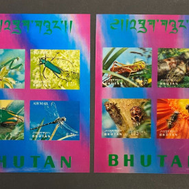 Bhutan 1969 Insects beetles 2 Souvenir sheets 3D effect MNH