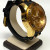 Invicta Pro Diver Men 50 mm Gold Stainless Steel Case