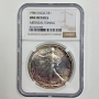 1986 S$1 American Silver Eagle NGC UNC DETAILS