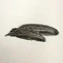 Antique DANECRAFT Sterling Silver Feather Pendant Brooch Pin