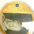 Windsor Mint "Diana a Princess" Swarovski Commemorative Coin 70 mm 2013 Windsor Mint "Diana a Princess" Swarovski Commemorative Coin 70 mm 2013